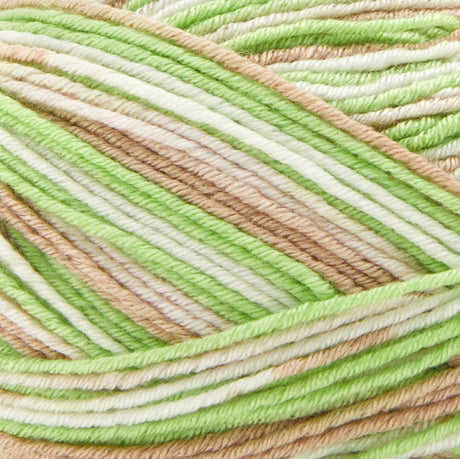 Premier Fruits Sock Yarn