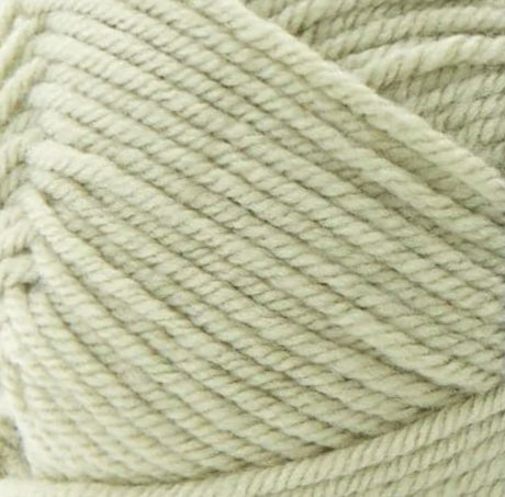 Premier Anti-Pilling Everyday Worsted Yarn