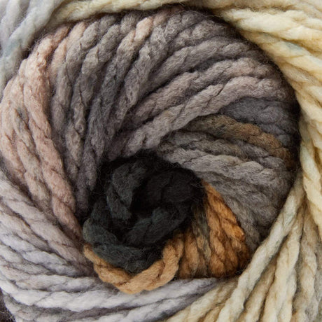 Premier Colorfusion Chunky Yarn