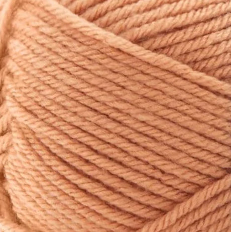 Premier Anti-Pilling Everyday Worsted Yarn