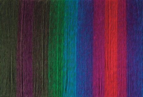 Mary Maxim Prism Yarn