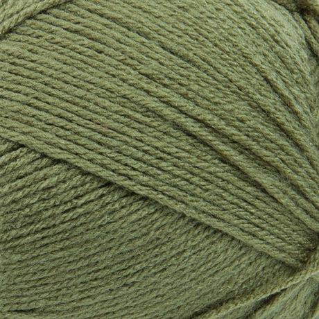 Big Twist Value Pound Plus Yarn