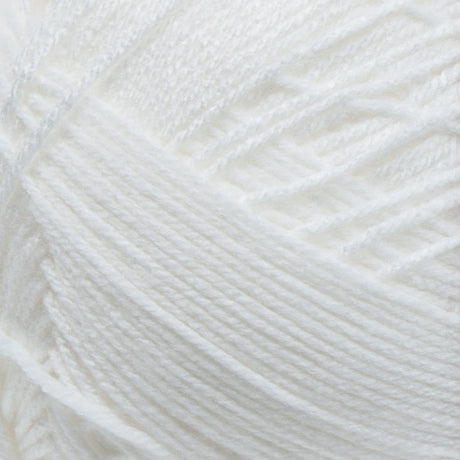 Big Twist Value Pound Plus Yarn