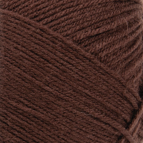 Big Twist Value Pound Plus Yarn