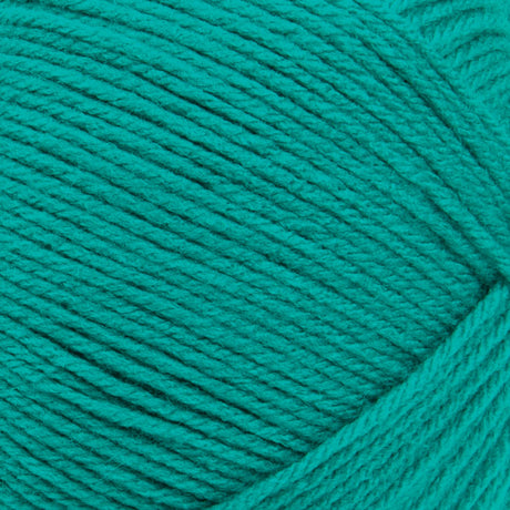 Big Twist Value Pound Plus Yarn