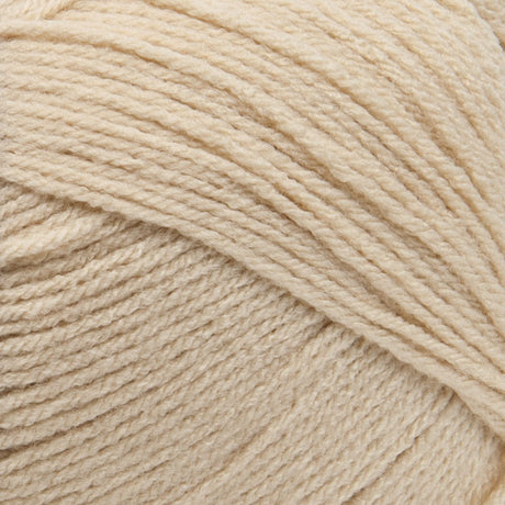 Big Twist Value Pound Plus Yarn