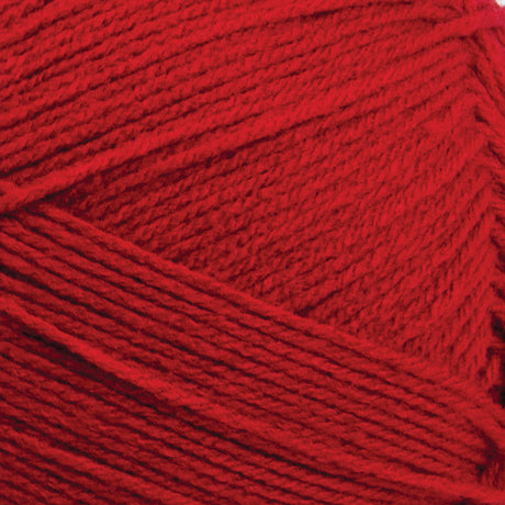 Big Twist Value Pound Plus Yarn