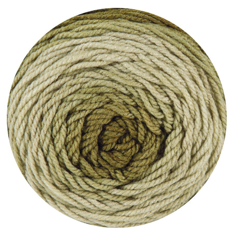 Bag-O-Day Tonal Hues Yarn